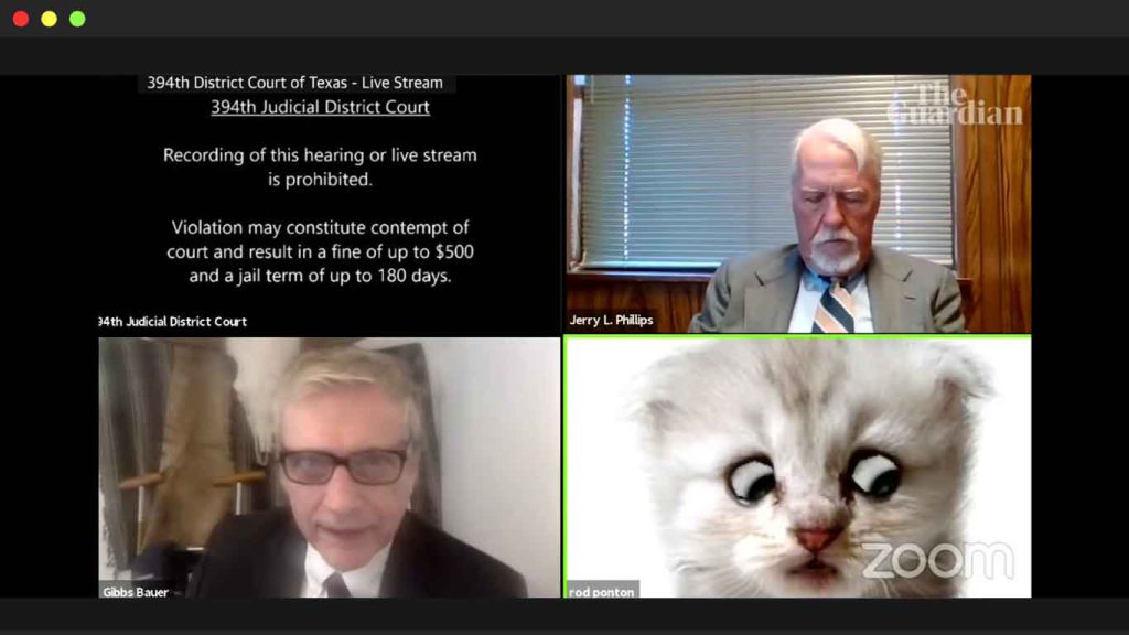 conference call with lawyer using cat filter