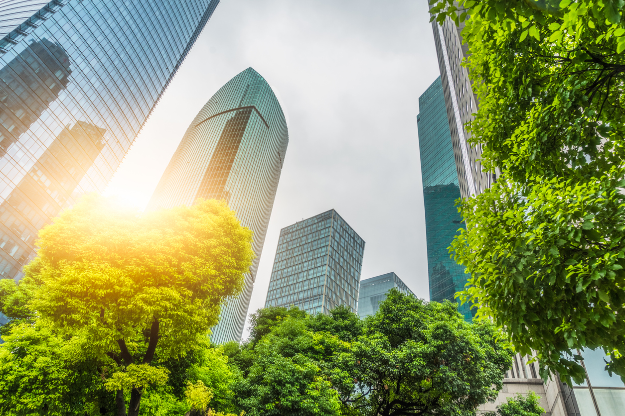 Business towers and Green leaves